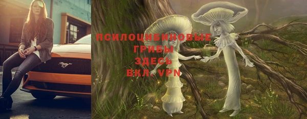 ПСИЛОЦИБИНОВЫЕ ГРИБЫ Алексин