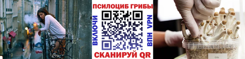 мориарти как зайти  Дрезна  Псилоцибиновые грибы GOLDEN TEACHER 
